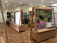 小笠原世界遺産センターの展示