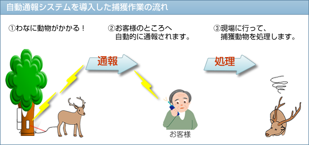 自動通報システムを導入した捕獲作業の流れ