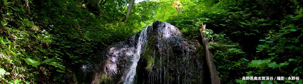 雑魚川の滝（長野県）/ 撮影 : 永野裕