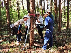 写真：自動撮影カメラ設置体験