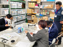 写真：外来アリ類の同定作業