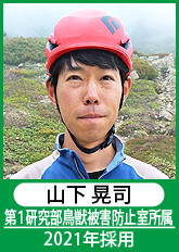 山下　晃司　第1研究部鳥獣被害防止室所属　2021年採用