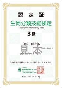 3級認定証見本