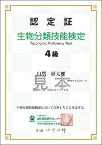 4級認定証見本