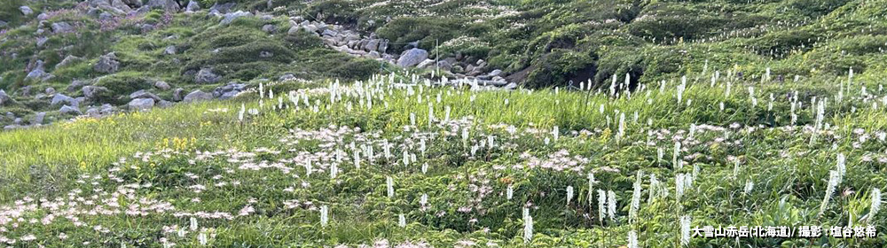 大雪山赤岳（北海道）/ 撮影 : 塩谷悠希